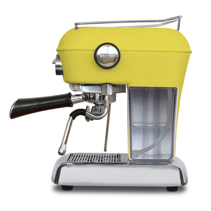 DREAM ONE - SUN YELLOW - ASCASO SN 12607